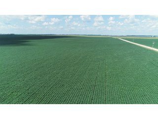 Farmland in Fulton & Marshall Counties, Indiana - LAND AUCTION - 541.3+/- ACRES IN 9 TRACTS IN FULTON & MARSHALL COUNTIES, INDIANA